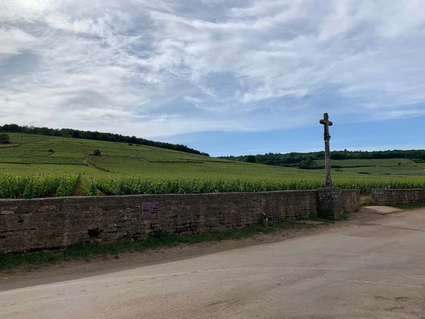 From: Dijon/Beaune: Burgundy Region Winery Tour with Lunch - Montrachet Grand Cru (UNESCO): the big name, explained without the snobbery