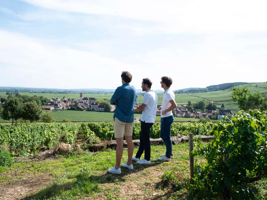 From: Dijon/Beaune: Burgundy Region Winery Tour with Lunch - Price and value: what $259 is really buying