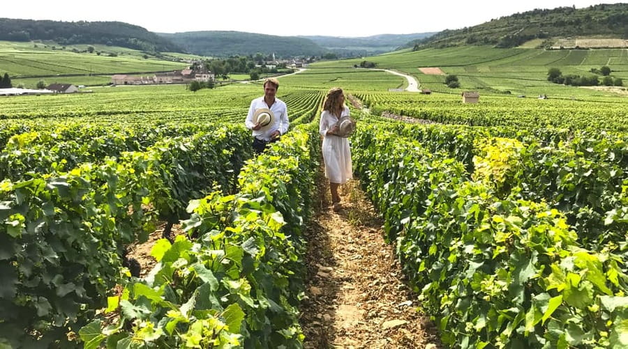 From: Dijon/Beaune: Burgundy Region Winery Tour with Lunch - The 8-wine comparative workshop: how you stop tasting blind