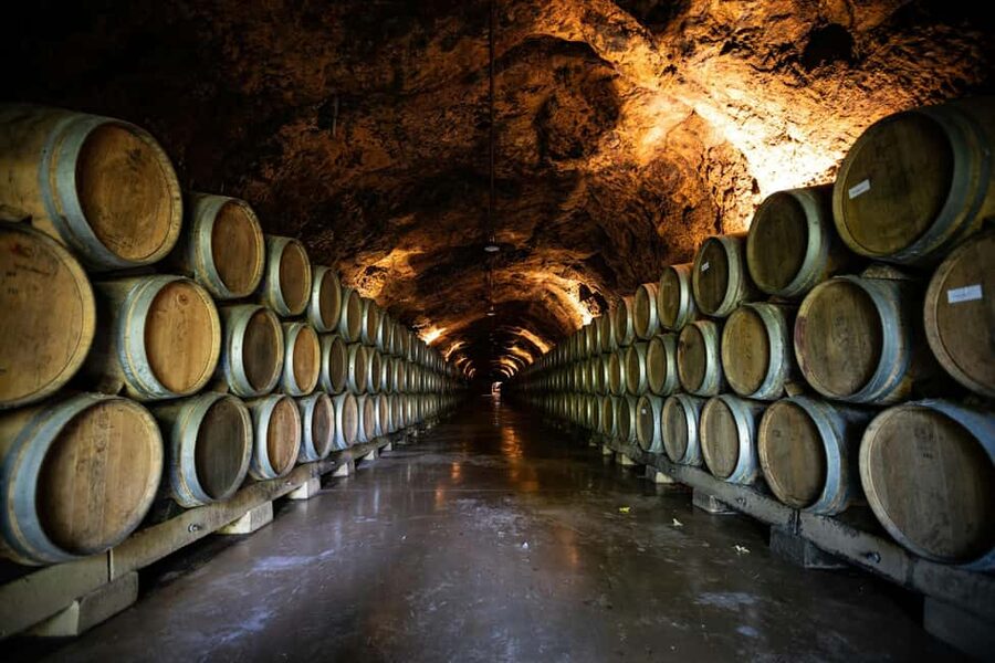 From Dijon: Côte de Nuits Wine-Tasting Tour - Key things to know before you go