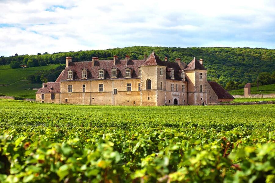 From Dijon: Côte de Nuits Wine-Tasting Tour - Price and what you actually get for $176 per person
