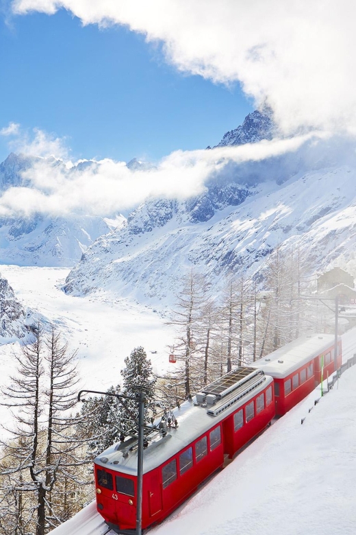 From Geneva: Independent Day to Chamonix Mont-Blanc - Price and value: why $105 might feel fair, or not