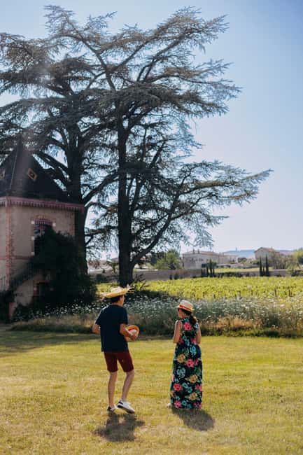 From Lyon: Beaujolais Wine Route Half-Day Tour - Moulin-a-Vent family winery: meet the winemaker and taste five wines