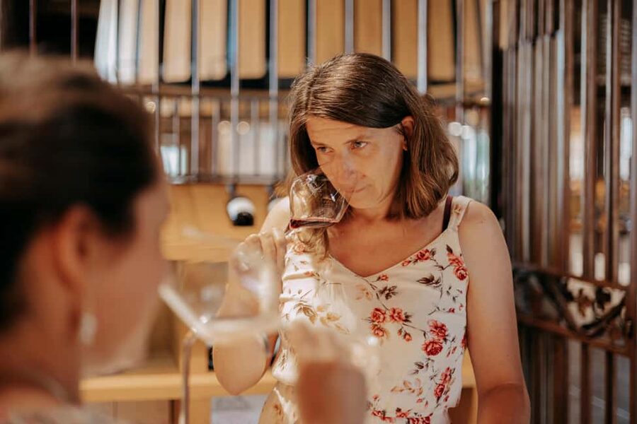 From Lyon: Beaujolais Wine Route Half-Day Tour - What you actually taste, and how to pace it