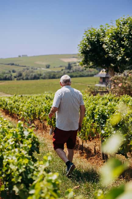 From Lyon: Beaujolais Wine Route Half-Day Tour - Transport, timing, and group size: the details that shape your experience