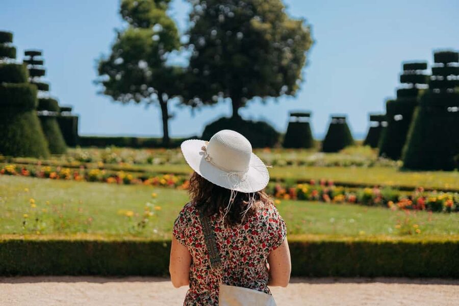 From Lyon: Beaujolais Wine Route Half-Day Tour - Who this tour fits best, and who might want something else