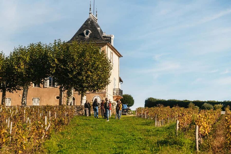 From Lyon: Beaujolais Wine Tour with Tastings - Key Things I’d Put on Your Radar