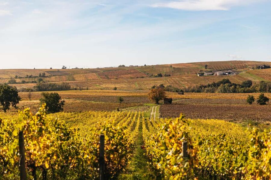 From Lyon: Beaujolais Wine Tour with Tastings - Leaving Lyon: What You’ll See on the Wine Route Drive