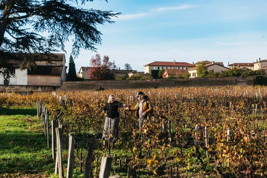 From Lyon: Beaujolais Wine Tour with Tastings - Value Check: Is $116 for 4 Hours a Good Deal?