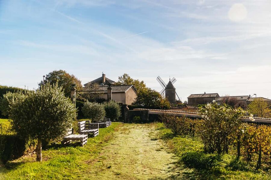 From Lyon: Beaujolais Wine Tour with Tastings - Logistics That Affect Your Comfort (So You Don’t Lose Time)