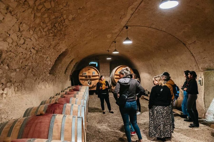 From Lyon: Beaujolais Wine Tour with Tastings - The 4-Hour Format: Fast, Focused, and Honestly Pretty Efficient