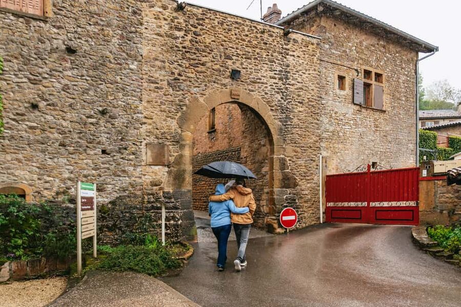 From Lyon: Golden Stones Beaujolais Wine Tasting Tour - Price and value: what $116 gets you in a real day