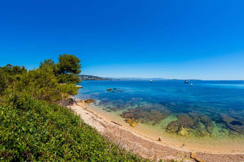 From Mandelieu: St. Marguerite Island Roundtrip Ferry Ride - Price and Value: The $33 Ferry Ticket Check