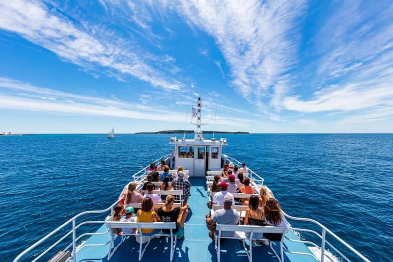 From Mandelieu: St. Marguerite Island Roundtrip Ferry Ride - Pointe de la Convention: Plants With a Purpose