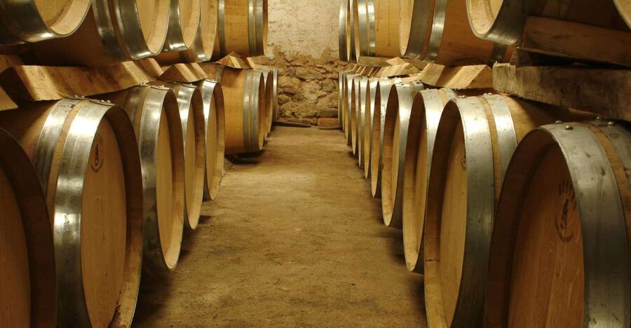 From Marseille: Aix en Provence Wine and Cheese Tour - Goat farm and cheese tasting: where the pairing becomes real