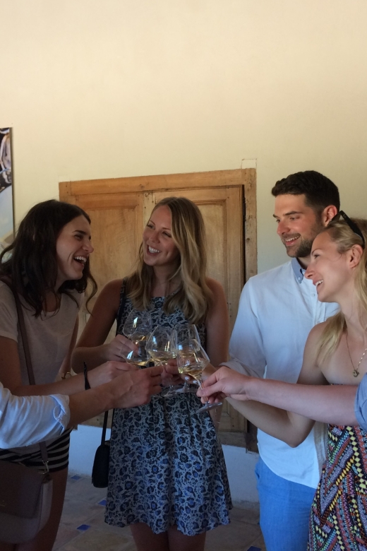 From Marseille: Aix en Provence Wine and Cheese Tour - First winery visit: rosé starters and a real education at ground level
