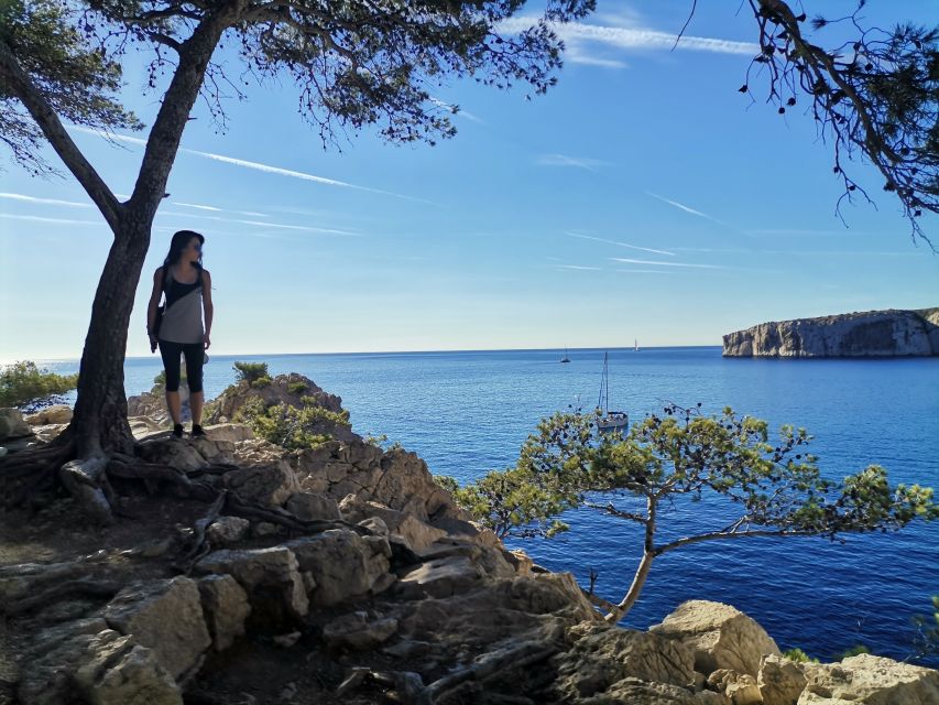 From Marseille: Calanques National Park Guided Hike - Key highlights from this Marseille Calanques guided hike