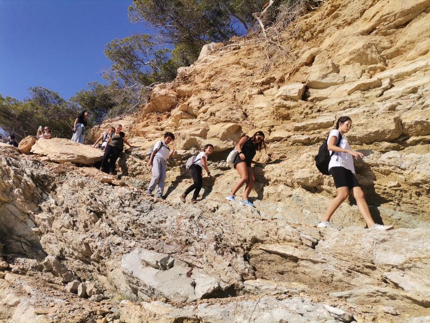From Marseille: Calanques National Park Guided Hike - Hike through pine and rosemary, then stop for sea-level payoffs