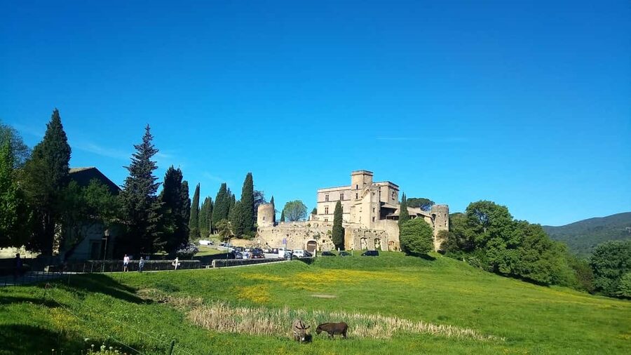From Marseille Cruise Port: Luberon Villages - Small Group Comfort, Plus Guide and Driver Matters