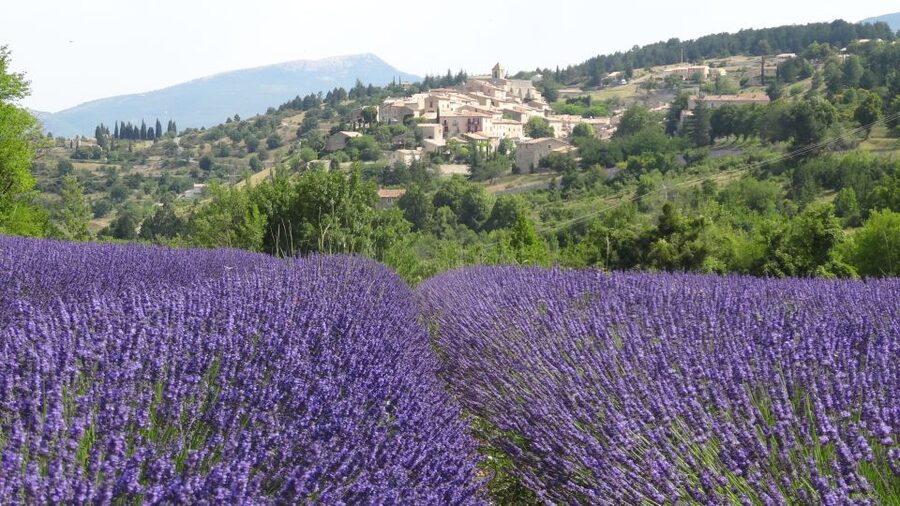 From Marseille: Lavender Full-Day Trip to Sault - Quick hits before you go