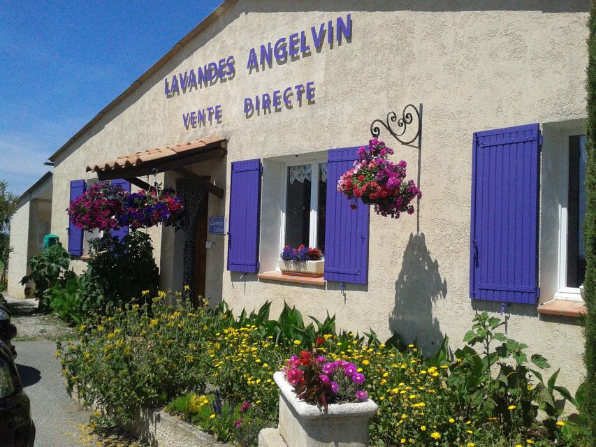 From Marseille: Valensole Lavenders Tour from Cruise Port - Producer stop: learning how lavender quality and essential oil work
