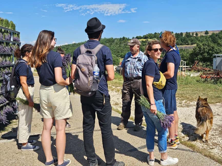 From Marseille: Valensole Lavenders Tour from Cruise Port - Van time, timing, and what a small group changes
