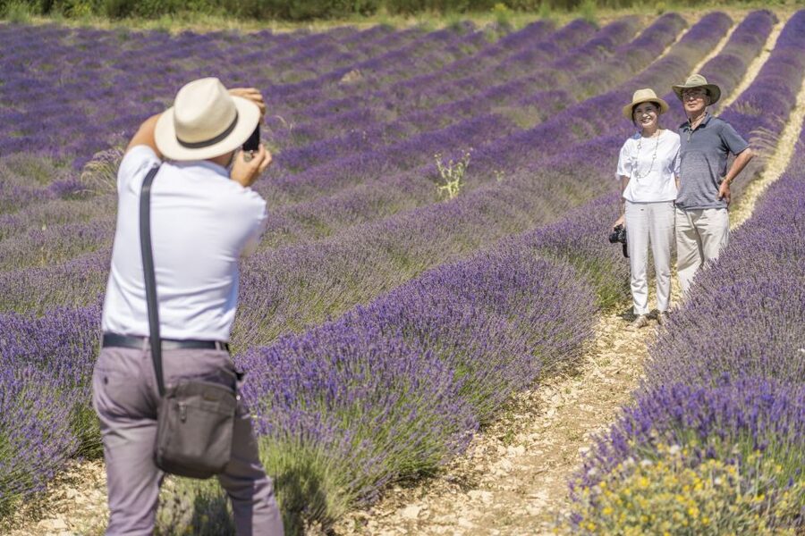 From Marseille: Valensole Lavenders Tour from Cruise Port - Price and value: is $175 per person fair for cruise travelers?