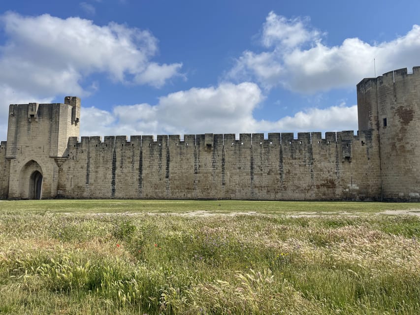 From Montpellier: Camargue and Salt Marshes Guided Tour - Who This Tour Fits Best