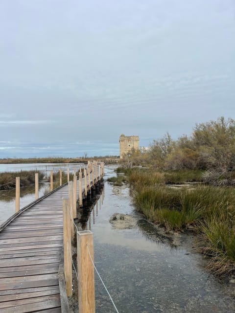 From Montpellier: Camargue and Salt Marshes Guided Tour - The Salt Marshes by Mini Train: Seeing Salt Production in Motion