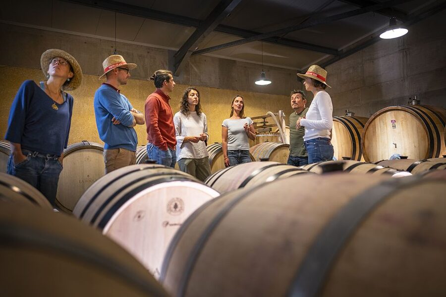 From Montpellier: Half-Day Vineyard & Pic Saint-Loup Tour - Price and value at about $93 per person