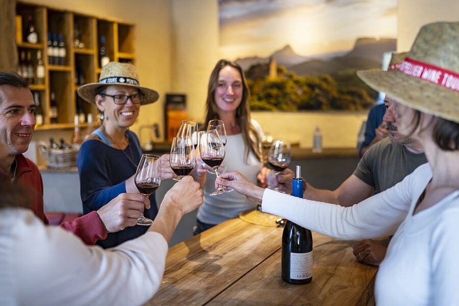 From Montpellier: Half-Day Vineyard & Pic Saint-Loup Tour - Should you book this Montpellier half-day vineyard and Pic Saint-Loup tour?