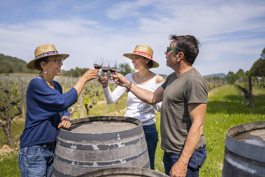 From Montpellier: Half-Day Vineyard & Pic Saint-Loup Tour - Pic Saint-Loup visits: what you’ll actually do during each hour