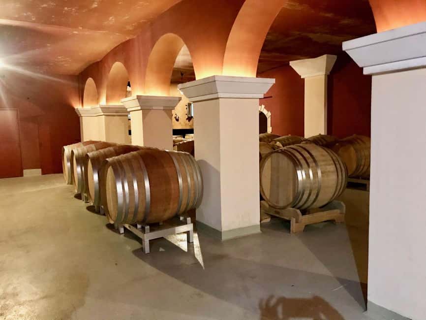 From Nice: Cannes, Saint Paul de Vence and Wine Tasting - Timing, transport, and why the guide makes or breaks the day