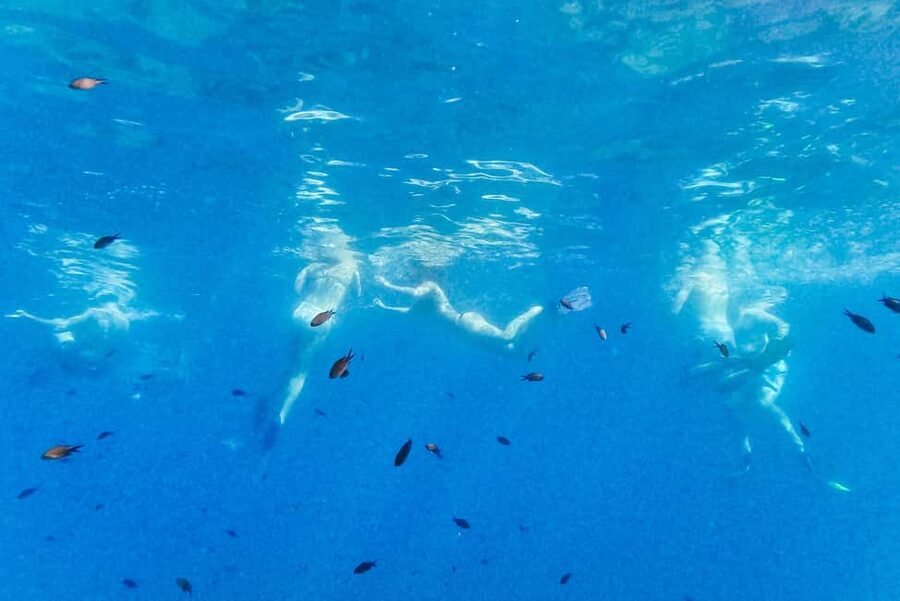 From Nice: French Riviera Swimming and Snorkeling Cruise - What you can realistically see underwater
