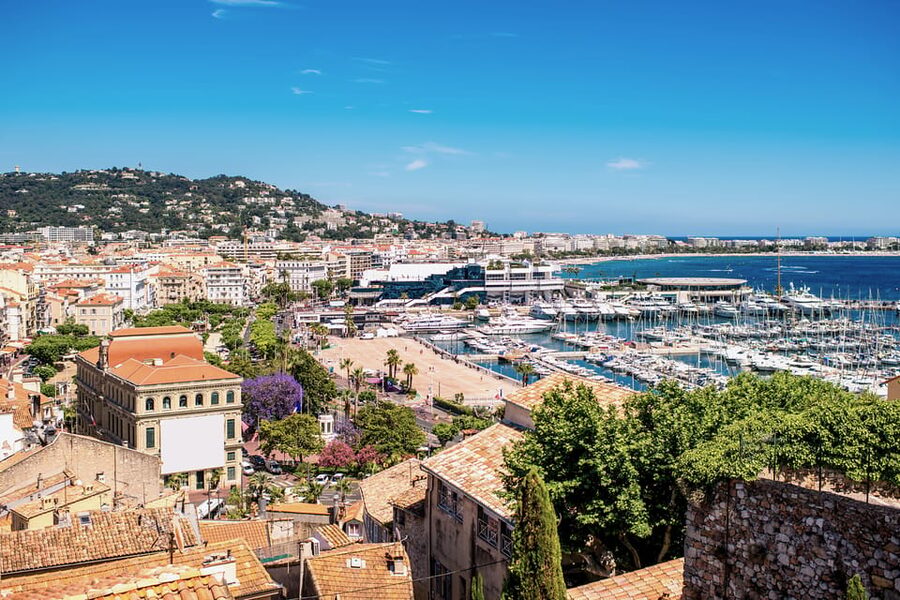 From Nice: Full-Day Best of the Riviera - Price and Logistics: Where the Value Comes From