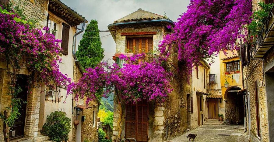 From Nice: Provence and its Medieval Villages Full-Day Tour - Tourrettes-sur-Loup, the City of Violets, plus craft workshops