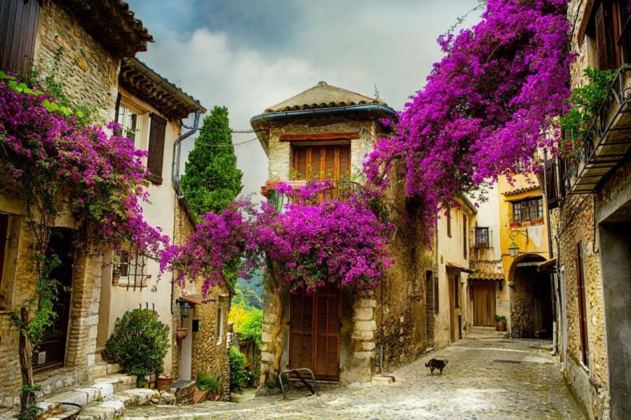 From Nice: Provence and its Medieval Villages Full-Day Tour - Gourdon’s hilltop viewpoint and Saut du Loup’s emerald pools