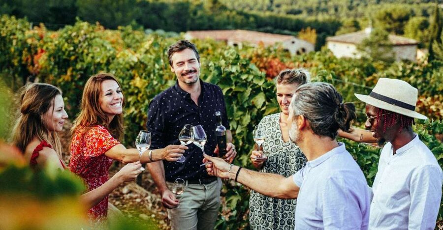 From Nice: Provence Wine Full-Day Tour - Who This Tour Suits Best (and Who Might Skip It)