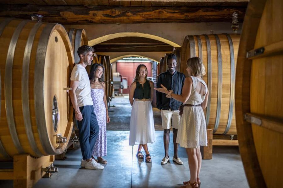 From Nice: Provence Wine Full-Day Tour - Côtes de Provence From Nice: What the 8 Hours Feel Like