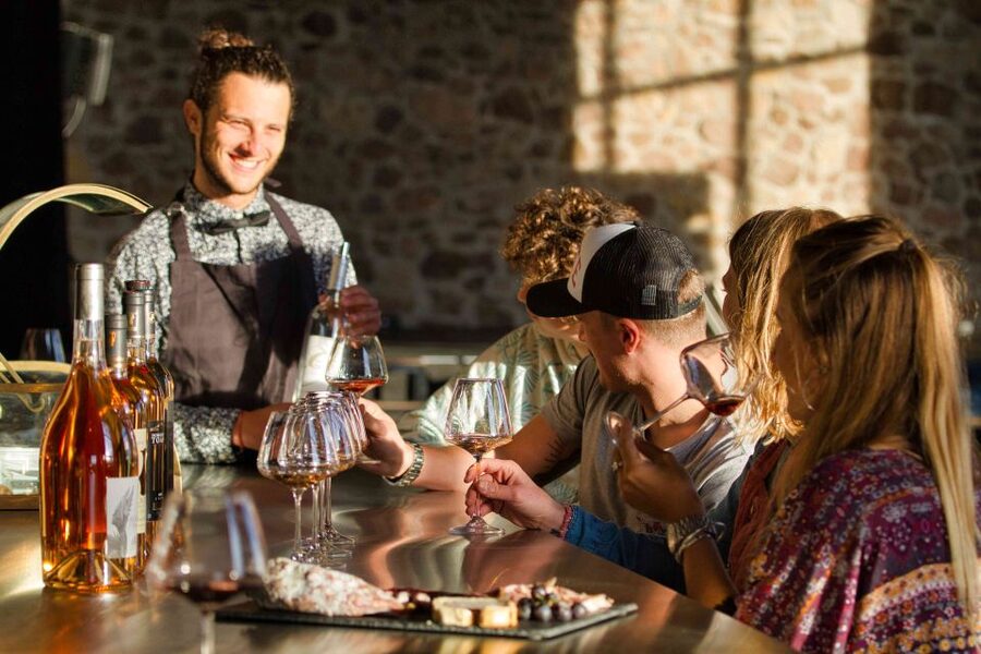 From Nice: Provence Wine Full-Day Tour - Second Estate With Four Generations: Vine Life-Cycles and Terrace Tastings