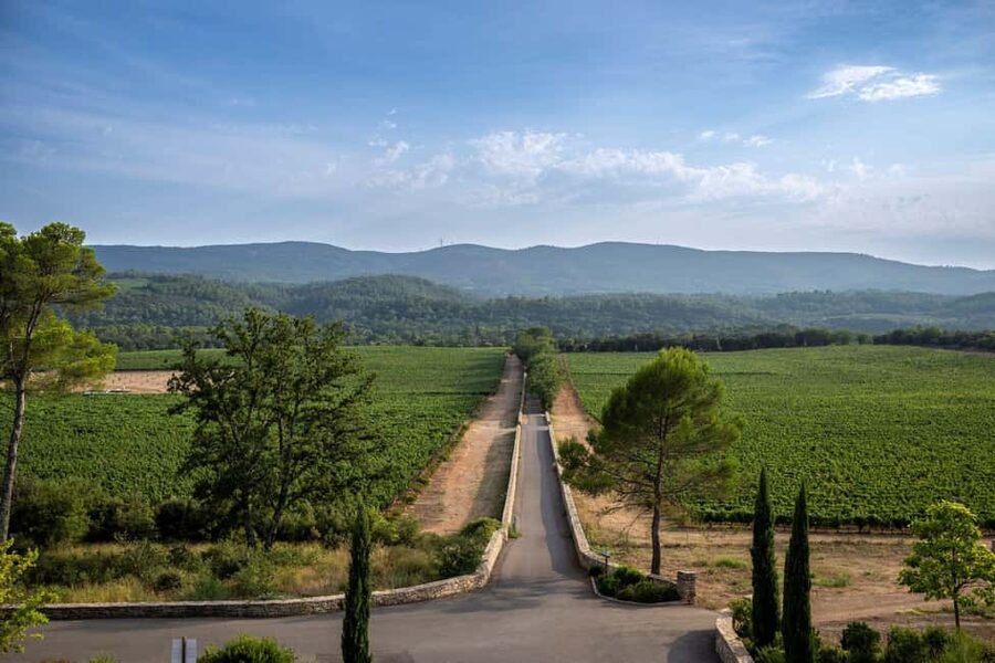 From Nice: Provence Wine Full-Day Tour - What You’ll Taste: About 15 Wines Across Rosé, Reds, and Aromatics
