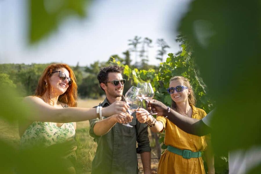 From Nice: Provence Wine Full-Day Tour - Value Check: Is $211 Worth It?