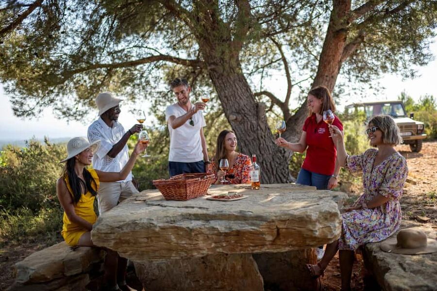 From Nice: Provence Wine Full-Day Tour - First Château Stop: Cru Classé Cellars and 2,000+ Years of Wine Stories
