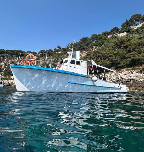 From Nice: Villefranche Bay Swimming & Snorkeling Boat Tour - Key highlights worth planning for