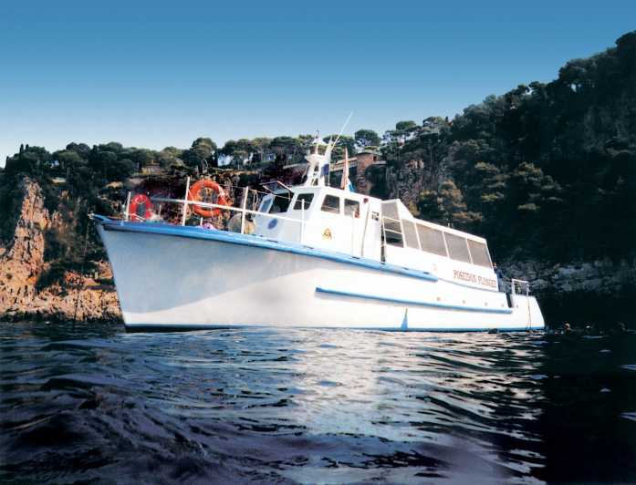 From Nice: Villefranche Bay Swimming & Snorkeling Boat Tour - The Cruise Out of Nice: Cliffs, Villas, and Sea-Air Breathing