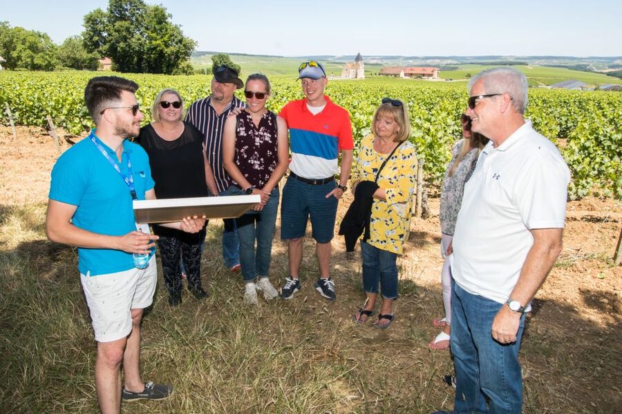 From Paris: Burgundy Region Winery Tour with Tastings - Key points to know before you go