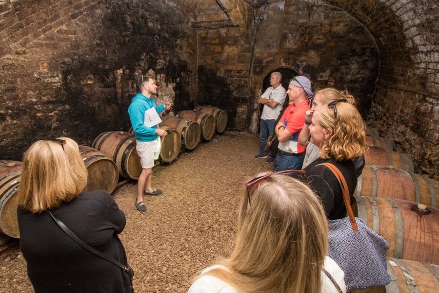 From Paris: Burgundy Region Winery Tour with Tastings - From Paris to Burgundy, without wasting your day