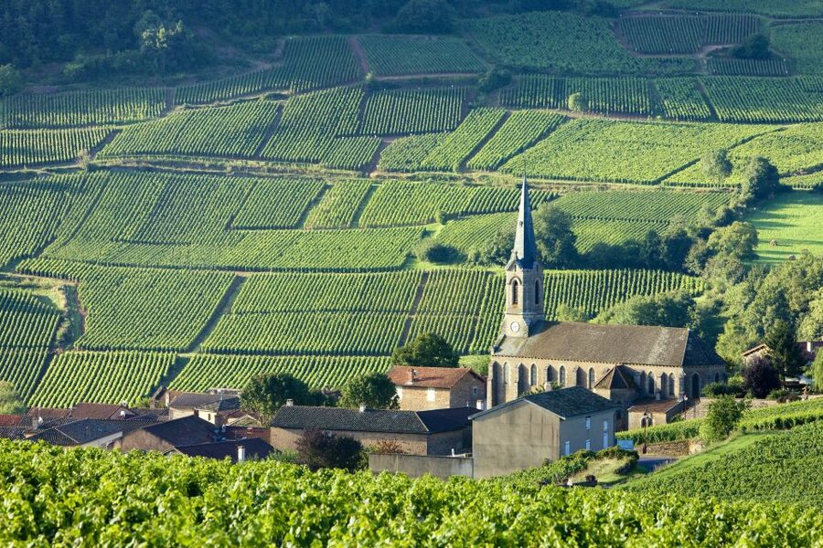 From Paris: Burgundy Region Winery Tour with Tastings - Les Caves Bailly Lapierre: largest cellars and Crémant bubbles