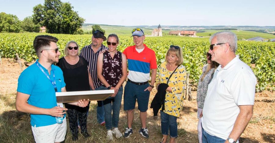 From Paris: Burgundy Region Winery Tour with Tastings - Price and what you really get for $277