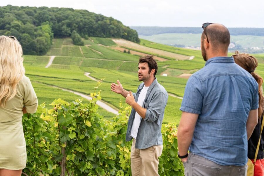 From Paris: Day Trip to Champagne with 8 Tastings & Lunch - The Second Producer Visit: Family Estates and Cooperatives With a Different Spirit
